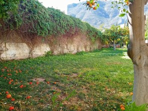 Jardín